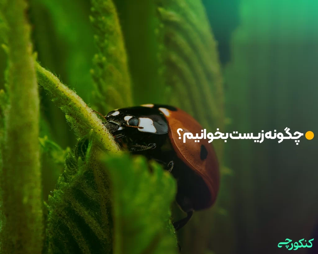 چگونه زیست بخوانیم؟