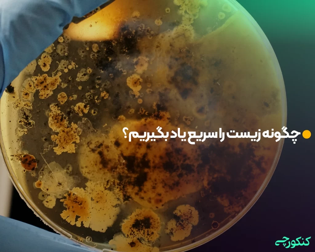 چگونه زیست را شب امتحان بخوانیم؟