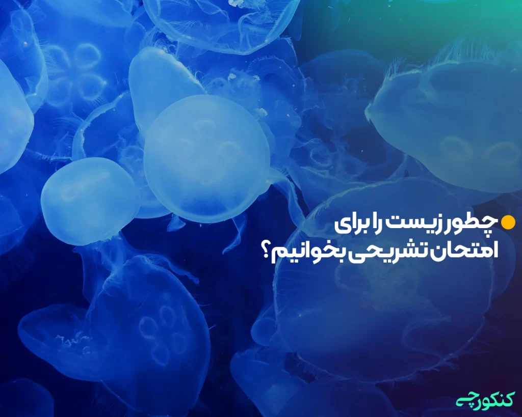 چطور زیست را برای امتحان تشریحی بخوانیم؟