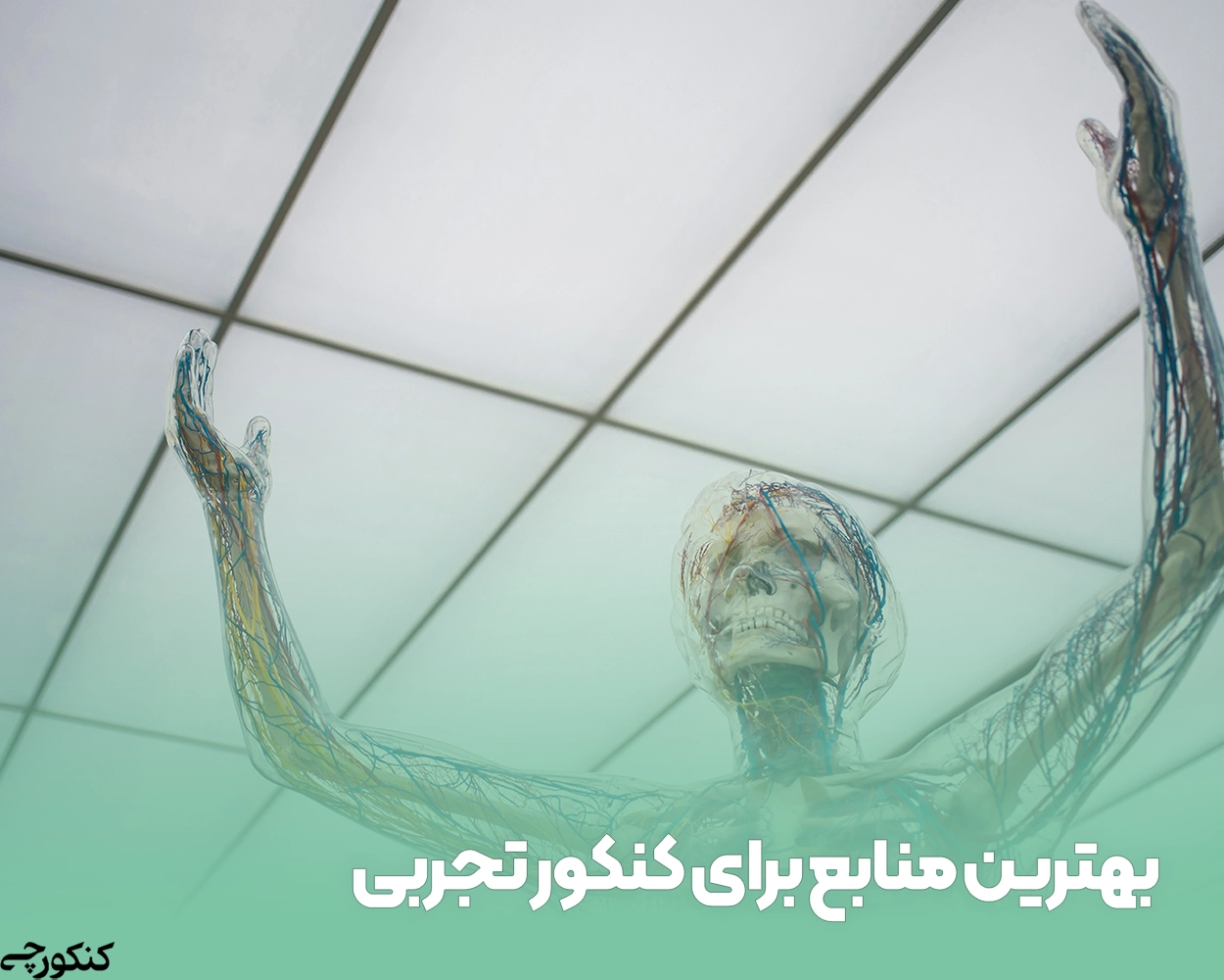 بهترین منابع برای کنکور تجربی