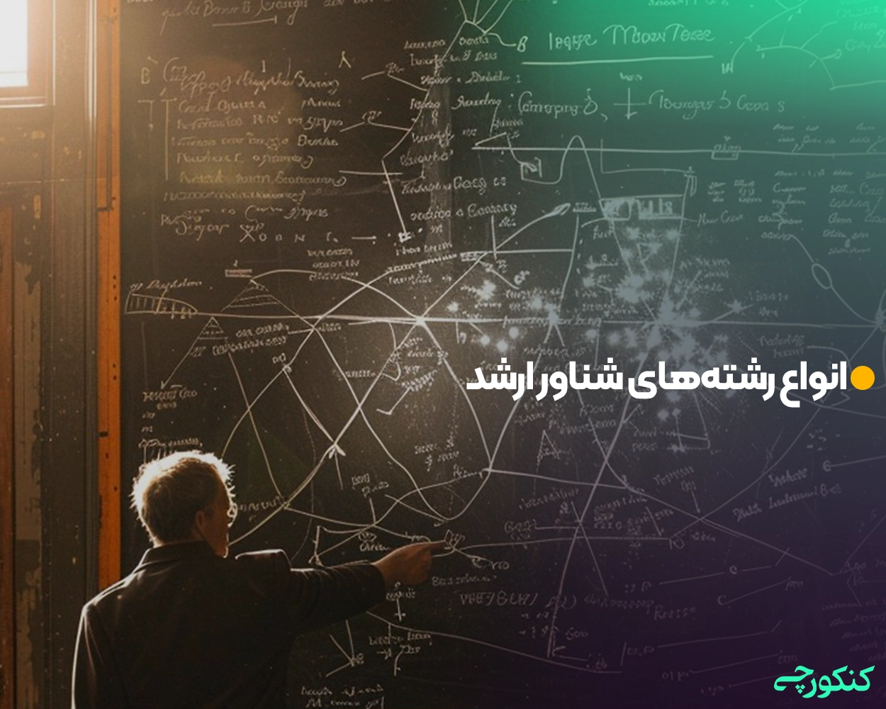 انواع رشته‌های شناور ارشد