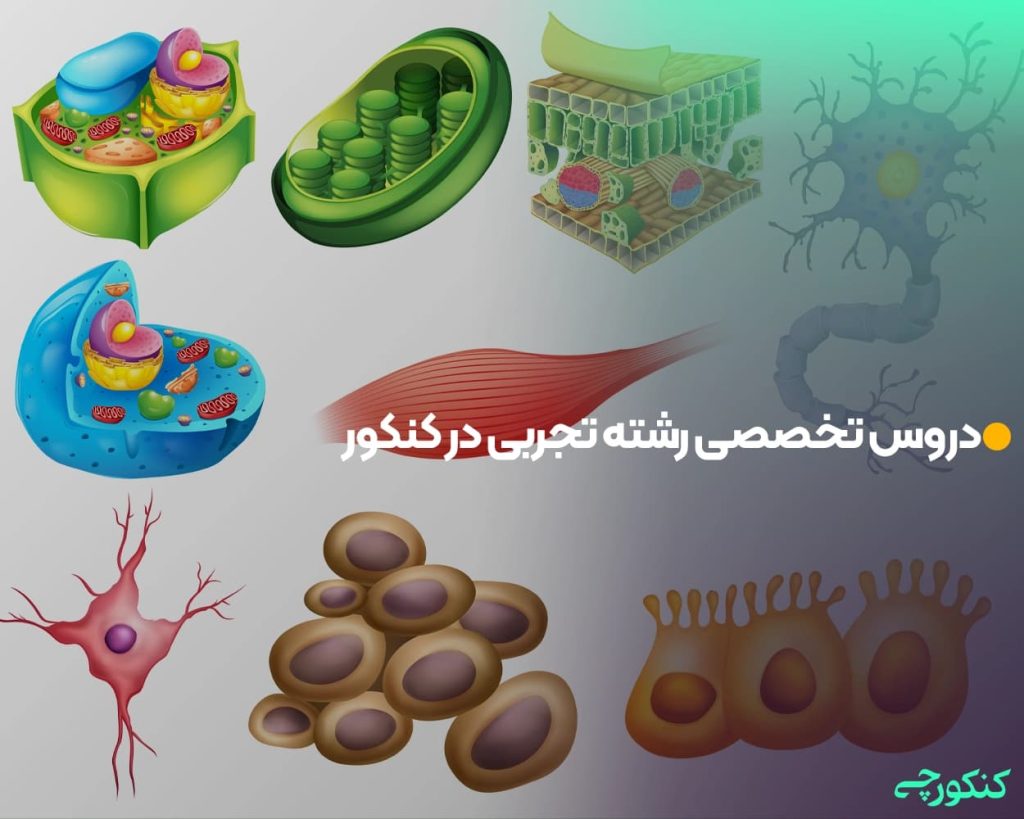 دروس تخصصی رشته تجربی در کنکور